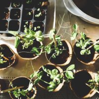 Illusztráció: .  ▃