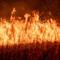 Illusztráció: Keith Lowery