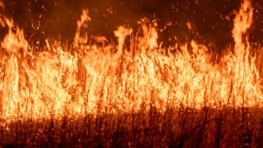 Illusztráció: Keith Lowery