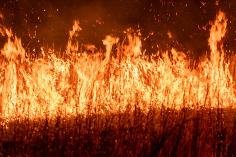 A hőhíd jelensége: miért hideg a fal a sarkokban?