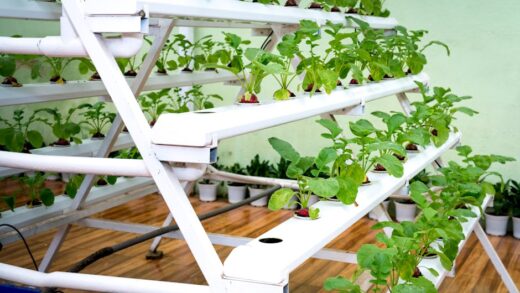 Fotó: Quang Nguyen Vinh, Forrás: Pexels