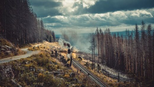 Fotó: Mark Plötz, Forrás: Pexels