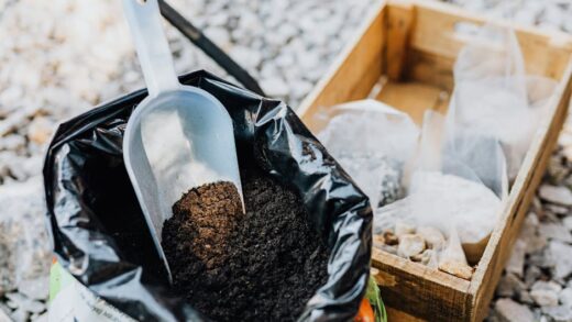 Fotó: Karola G, Forrás: Pexels