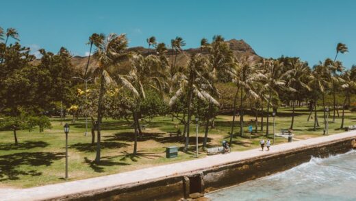 Illusztráció: Jess Loiterton