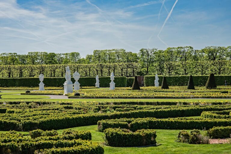 Így telepíthetünk sűrű és egészséges sövényt a kerítés mellé