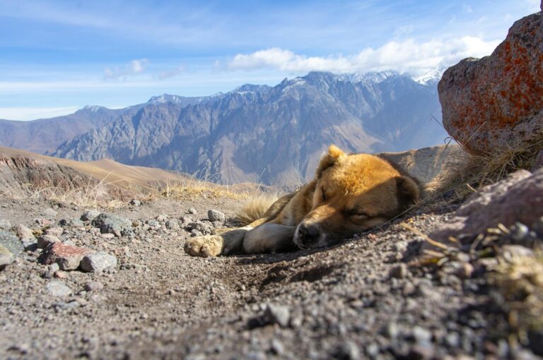 Így találhatunk rá a valódi nyugalomra a Kaukázus hófödte csúcsai között