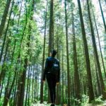 Ennyit számít a mentális jólétünknek ha hetente legalább két órát a szabadban töltünk